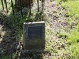 image of grave number 831182